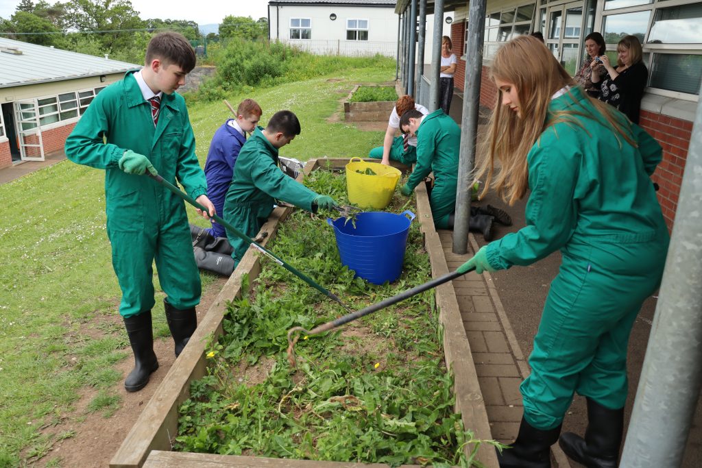 School Pollinator Garden Grants Scheme Ulidia Integrated College