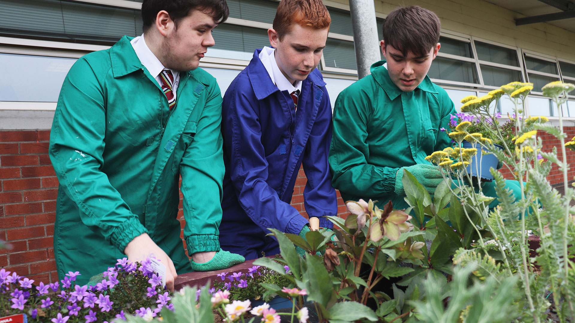 School Pollinator Garden Grants Scheme Ulidia Integrated College